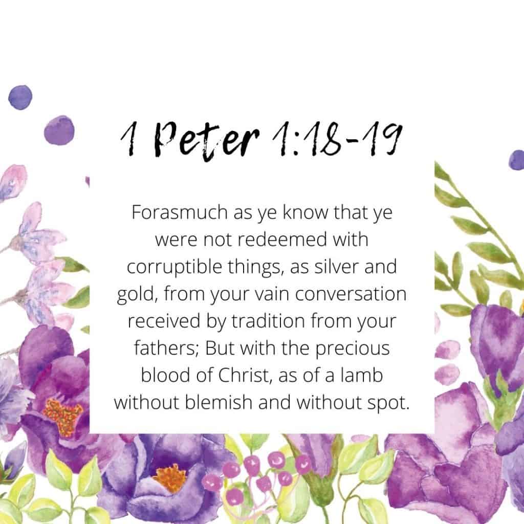 1 Peter 1:18-19 Bible Verse 