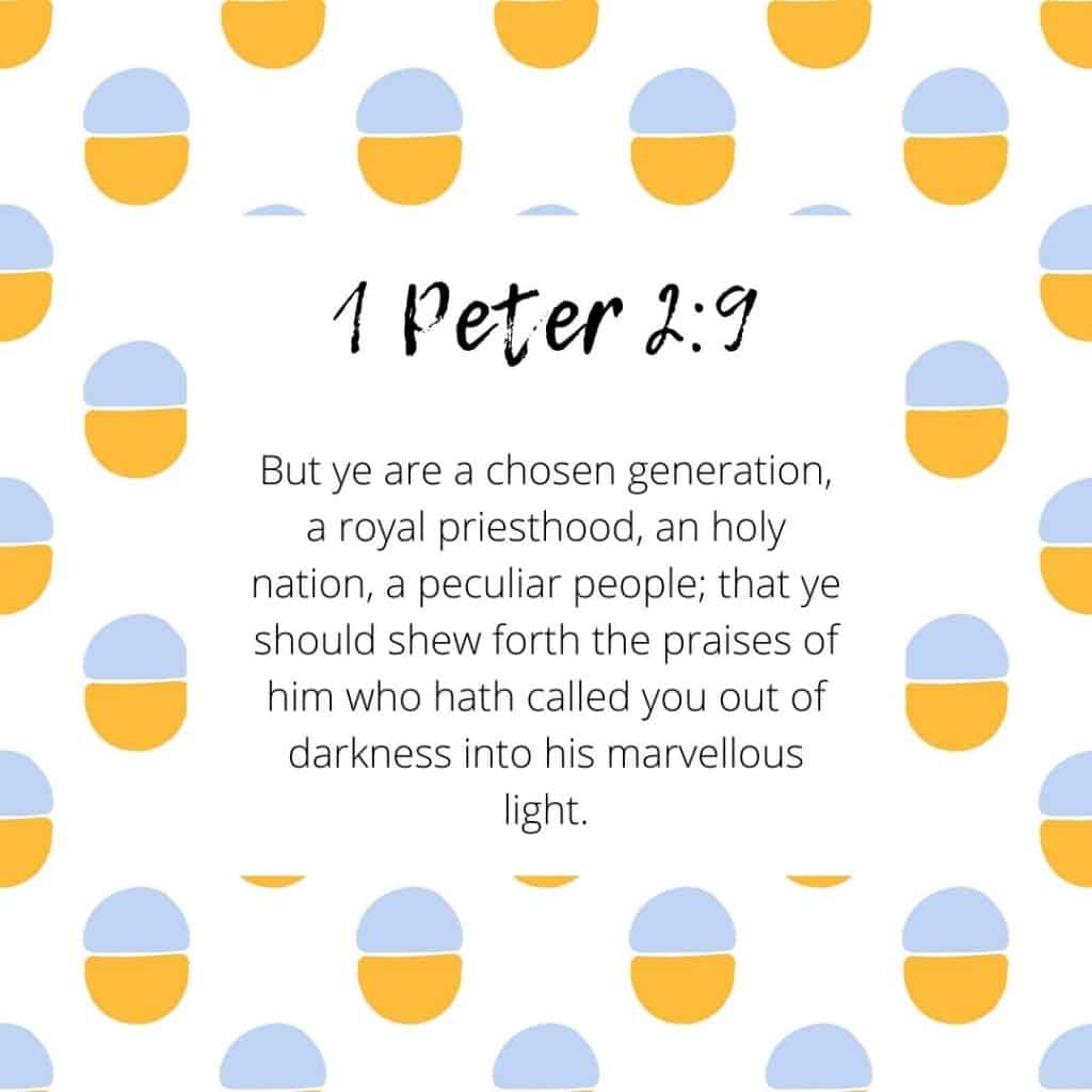 1 Peter 2:9 bible Verse