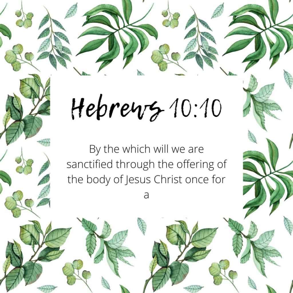 Hebrews 10:10 Bible Verse 