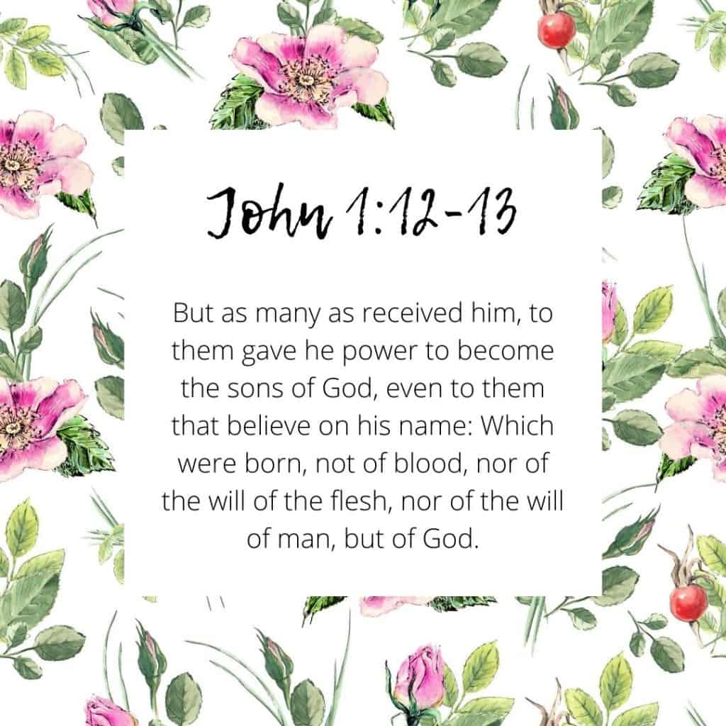 John 1:12-13 bible Verse