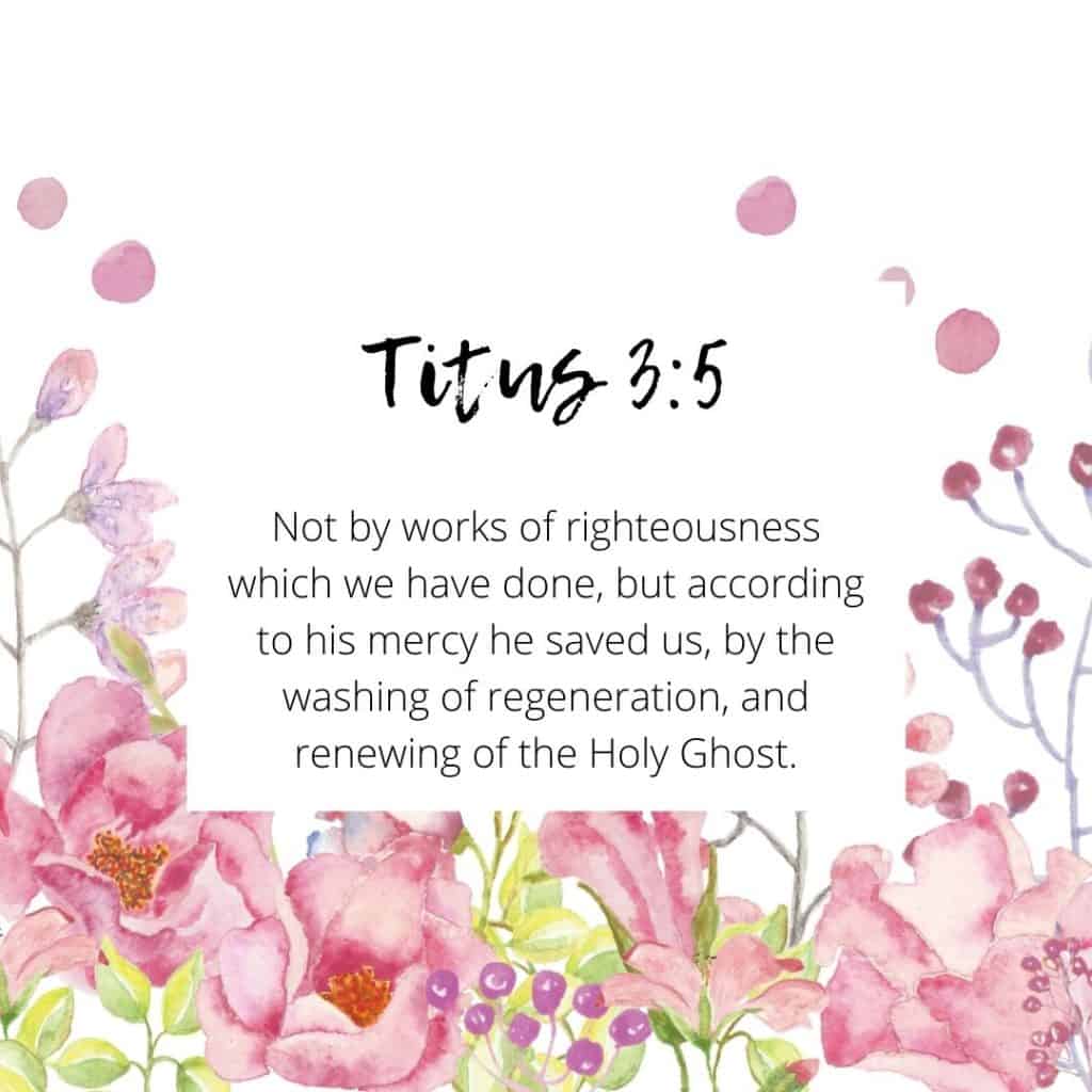 Titus 3:5 Bible Verse