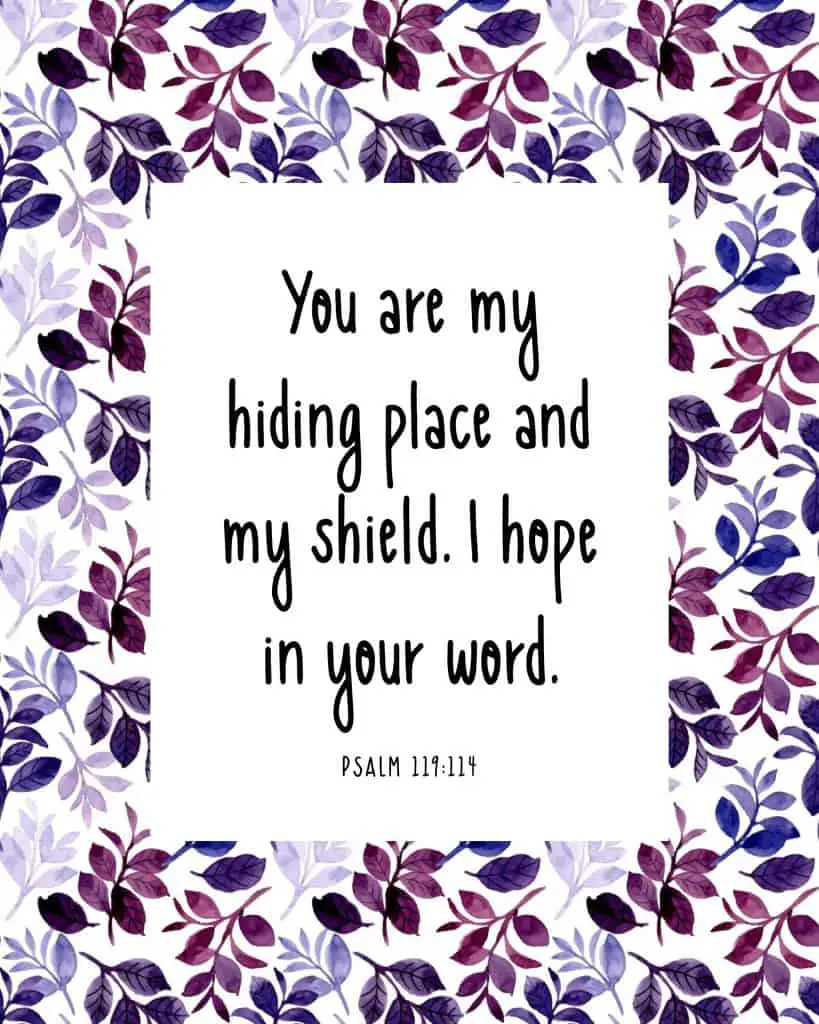picture of wall art of floral frame with bible verse inside psalm 119:114