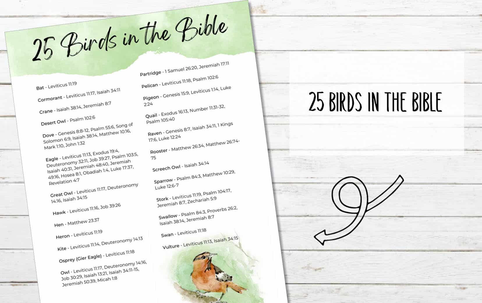 Printable List of 25 Birds in the Bible