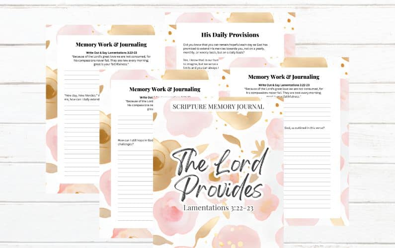 FREE Printable The Lord Provides Lamentations 322-23 Scripture Memory Journal